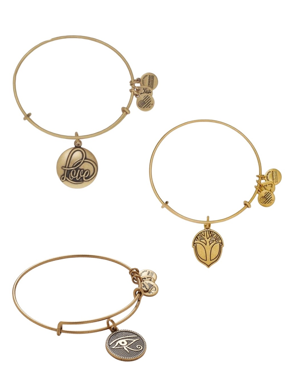 ALEX AND ANI CHARM BANGLE BUNDLE (7)